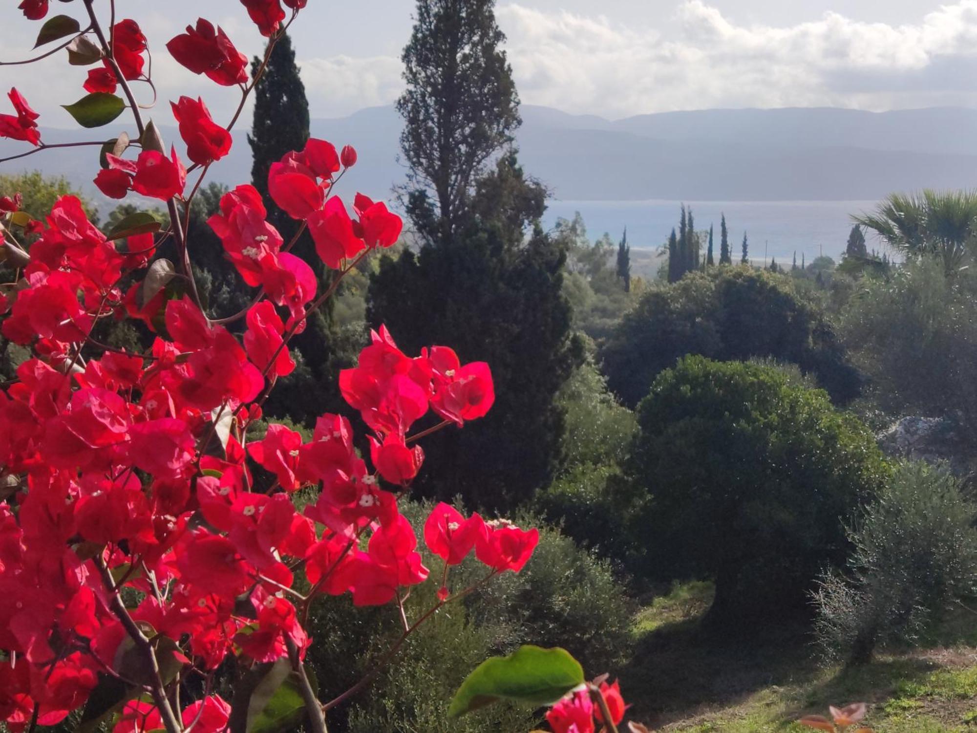 Villa Pilias Methoni  Exterior photo