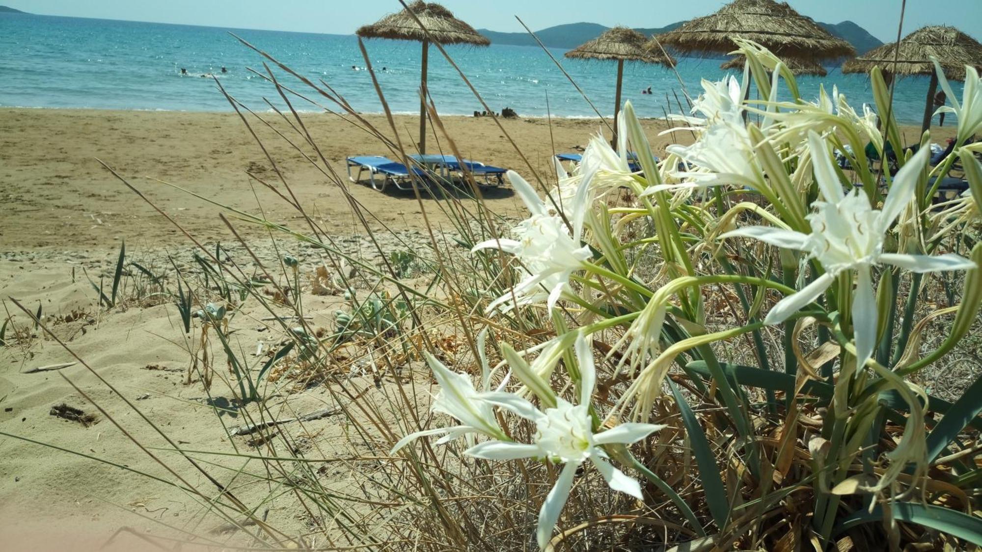 Villa Pilias Methoni  Exterior photo